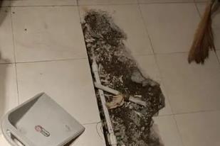 田东卫生间漏水检测电话